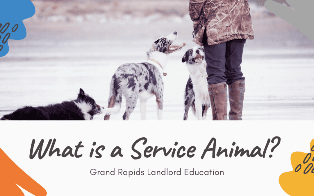 What is a Service Animal? Grand Rapids Landlord Education
