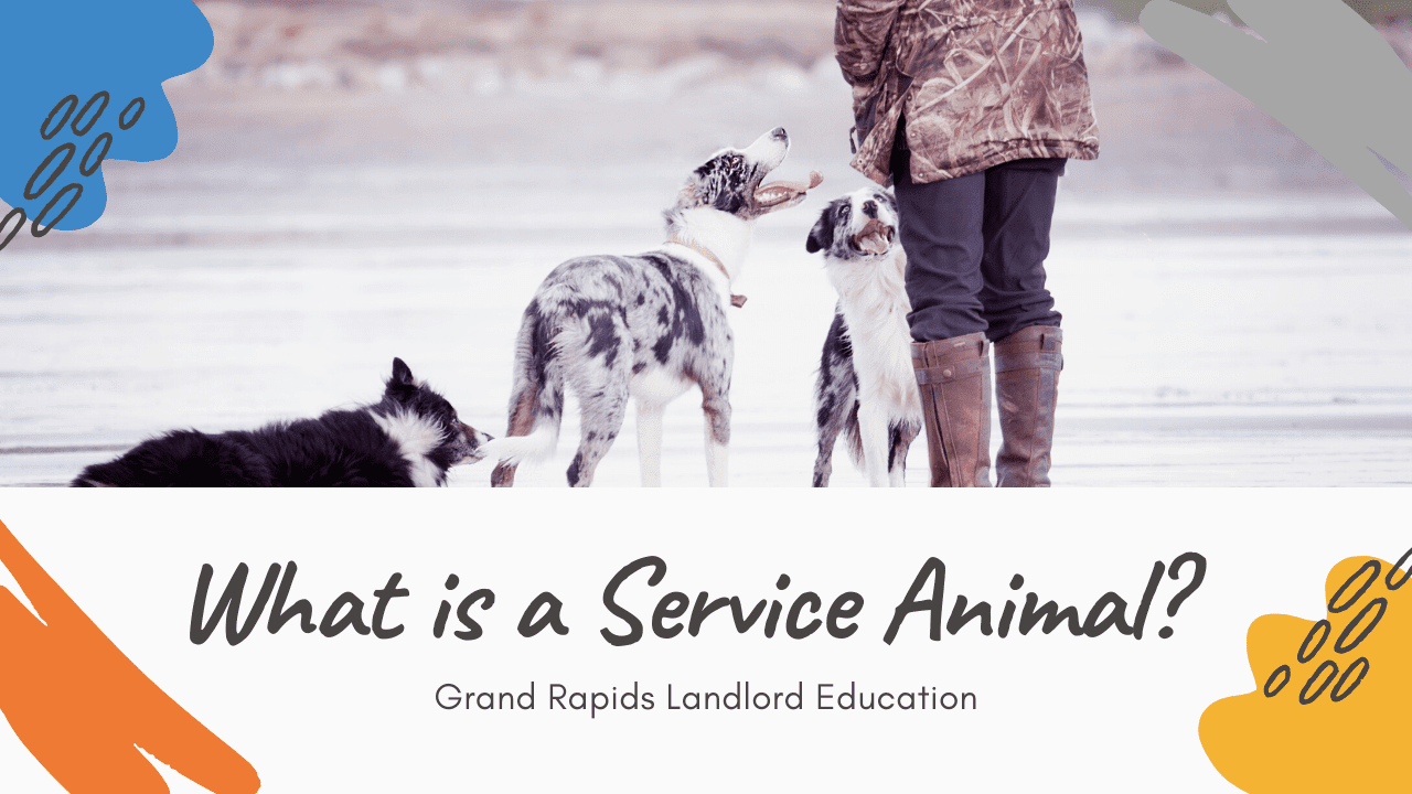 What is a Service Animal? Grand Rapids Landlord Education