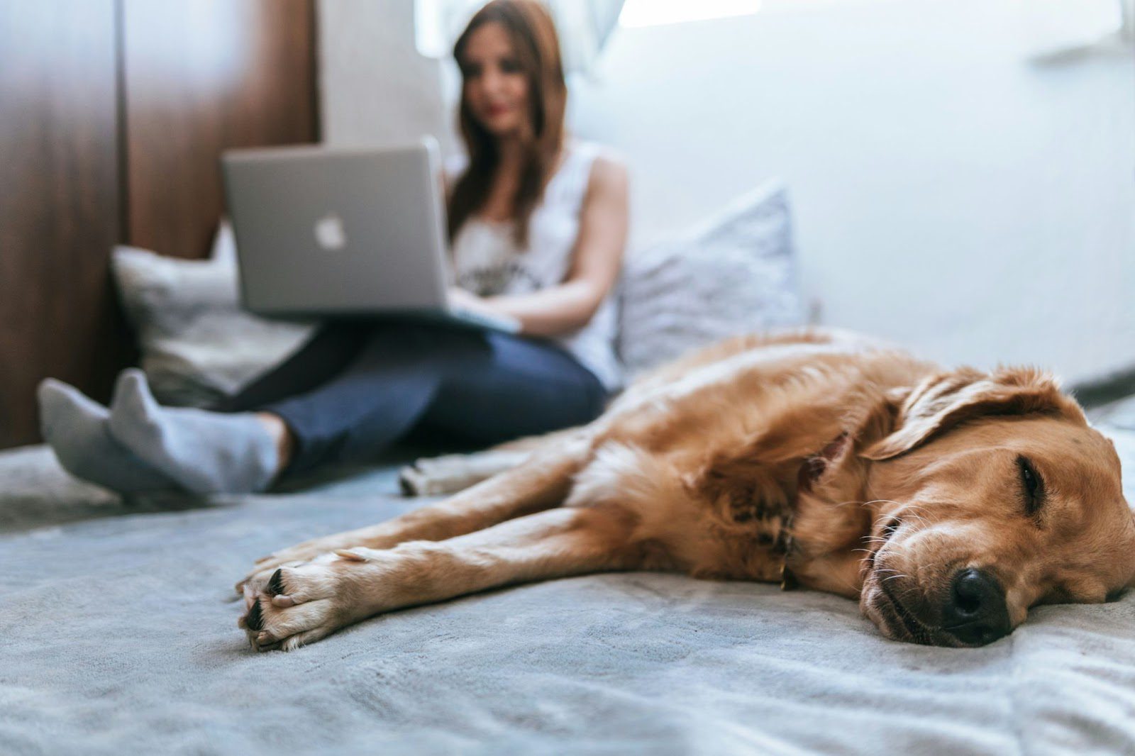 Should You Allow… at Your Property?